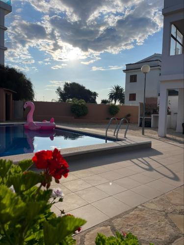 a swimming pool with a pink swan in the middle at Edificio Guadalupe in Alcossebre