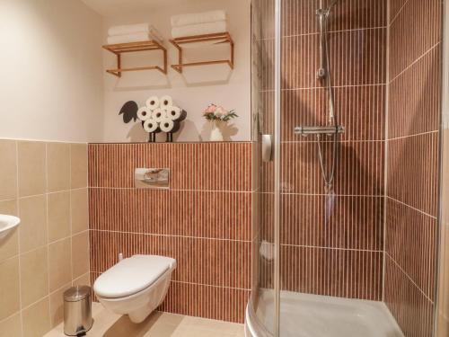 a bathroom with a toilet and a shower at 5 St Mary's Church in Moffat
