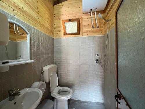 La petite salle de bains est pourvue de toilettes et d'un lavabo. dans l'établissement Bujtina Uji I Panjes, Log Cabins, à Vlorë