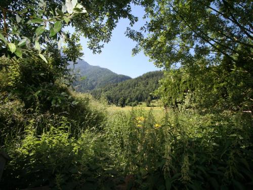 a field of grass with mountains in the background at Apartment Peter by Interhome in Waidring