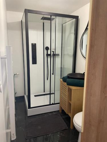 uma casa de banho com uma cabina de duche em vidro e um WC. em Studio Rouen em Rouen