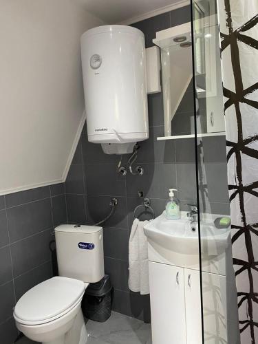ルーディックにあるČivova brvnaraのトイレと洗面台付きのバスルーム