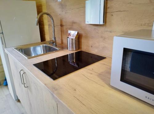 a kitchen with a sink and a microwave at Panticosa Lodge in Panticosa