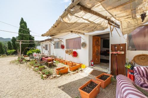 Orange Tent - In Our Garden – Photos 3