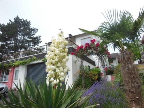 Een tuin van Julia's Mosel Villa Appartement NICOLAS