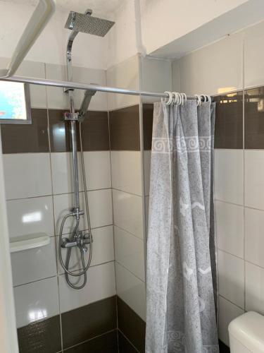 eine Dusche mit Duschvorhang im Bad in der Unterkunft Zacharos Elegant Studio in Leonidi