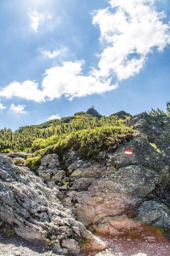 a rocky mountain with a red object on top of it at Alpenzeit in Flachau