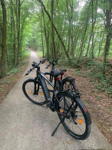 a bike parked on a path in the woods at Le Sommelet in Somme-Leuze
