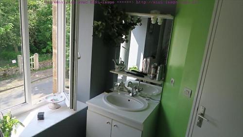 Baño verde con lavabo y espejo en Chez Hervé, en Saint-Mars-sur-Colmont