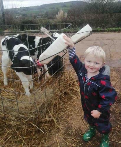 a young boy holding a baseball bat in front of a cow at Park Gate, Colyton, farm,near beaches-‘Annie’ in Colyton