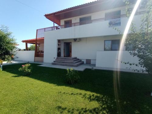 a house with a lawn in front of it at Pestele Ca Odinioară in Murighiol