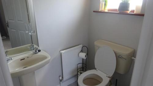a small bathroom with a toilet and a sink at Ger's Lodging in Galway