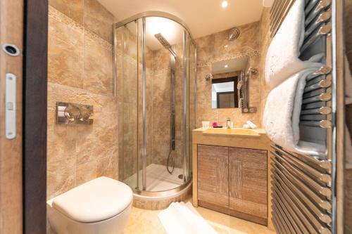 a bathroom with a shower and a toilet and a sink at Hôtel L'Incomparable Aix-Les-Bains in Tresserves