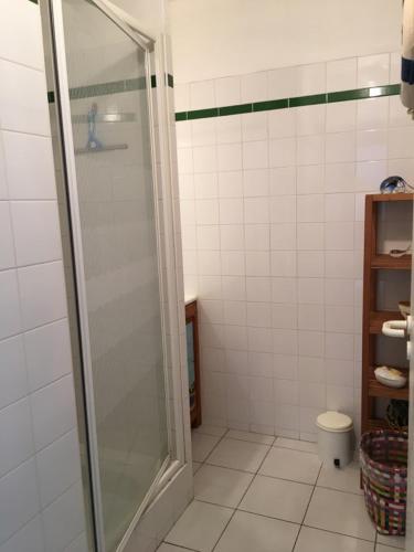 une salle de bain avec douche et toilettes dans l'établissement Appartement T2 ocean location avec terrasse et parking privé 200mde la plage, à Moliets-et-Maa