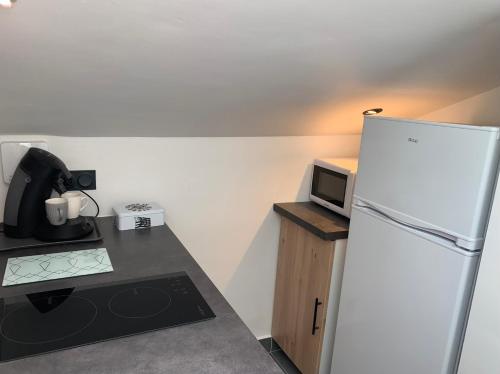 La cuisine est équipée d'un réfrigérateur blanc et d'un four micro-ondes. dans l'établissement appartement centre Vannes, à Vannes