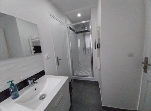 a white bathroom with a sink and a shower at Charmant logement dans une ancienne ferme in Provins