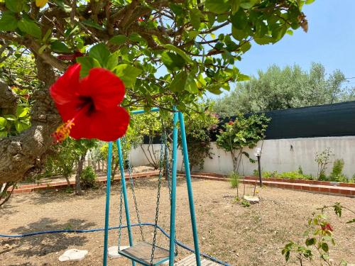 a swing with a red flower attached to a tree at VIVIHOLIDAY in Calabernardo