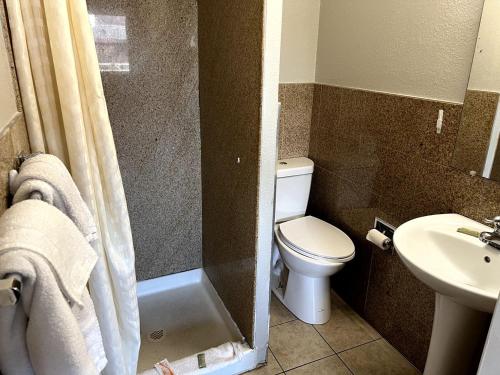 a bathroom with a toilet and a sink at Budget Plaza Motel in Brooklyn Park
