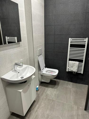 a bathroom with a white sink and a toilet at Byt apartman 2rooms 76m2 all new in Prague