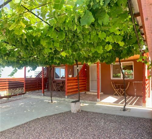 a tree in the middle of a patio at Cazare Nicoleta in Vadu