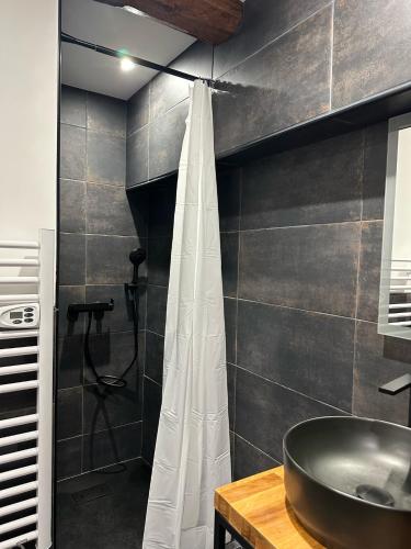 y baño con lavabo y ducha. en Studio RDC La Tour, en Saint-Étienne-de-Tinée