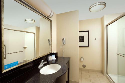 Bagno di Hampton Inn & Suites Chicago Southland-Matteson