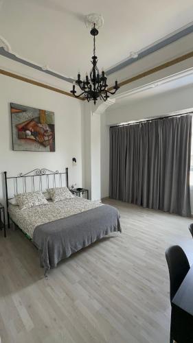 Schlafzimmer mit einem Bett und einem Kronleuchter in der Unterkunft Flats Puente Ademuz Apartamento de 3 habitaciones in Valencia