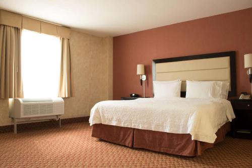 a hotel room with a large bed and a window at Hampton Inn by Hilton Ciudad Victoria in Ciudad Victoria