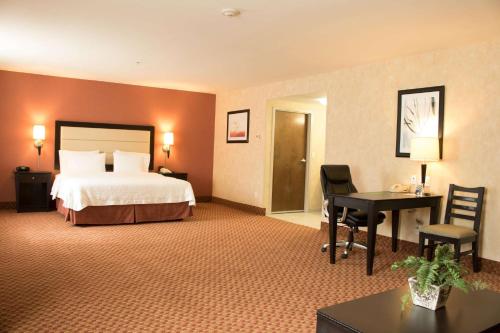 a hotel room with a bed and a desk at Hampton Inn by Hilton Ciudad Victoria in Ciudad Victoria