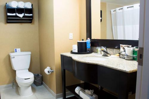 a bathroom with a toilet and a sink with a mirror at Hampton Inn by Hilton Ciudad Victoria in Ciudad Victoria