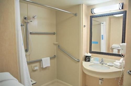 a bathroom with a sink and a mirror at Hampton Inn Cedar City in Cedar City