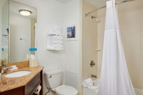 a bathroom with a shower and a toilet and a sink at Hampton Inn Clemson in Clemson
