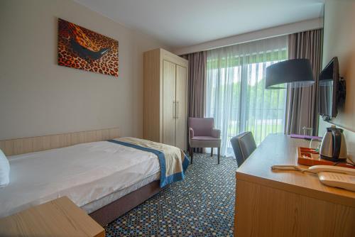 ブスコ・ズドロイにあるブリストル アート＆メディカル スパのベッドとデスクが備わるホテルルームです。