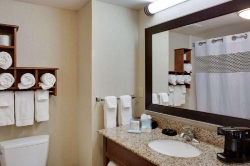 a bathroom with a toilet and a sink and a mirror at Hampton Inn Chickasha in Chickasha