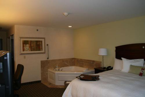 a hotel room with a bed and a bath tub at Hampton Inn & Suites Cleveland-Mentor in Mentor