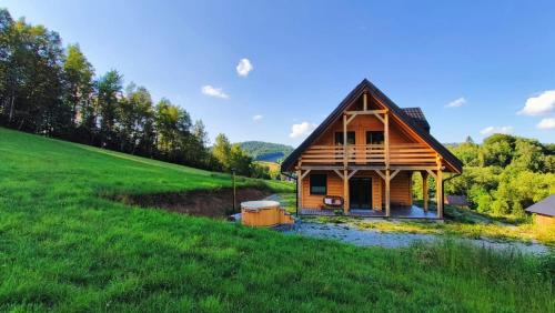 a small wooden house on a green field at Górska Ostoja in Sieniawa