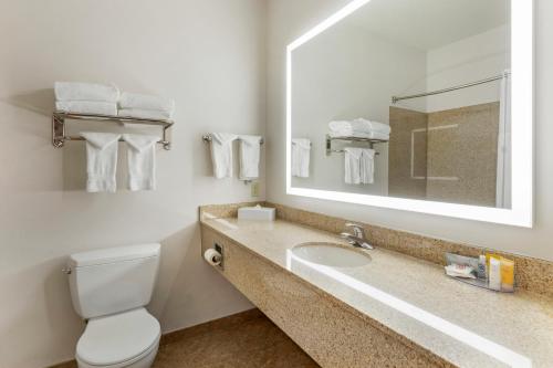 a bathroom with a toilet and a sink with a mirror at Comfort Inn & Suites Glenwood Springs On The River in Glenwood Springs