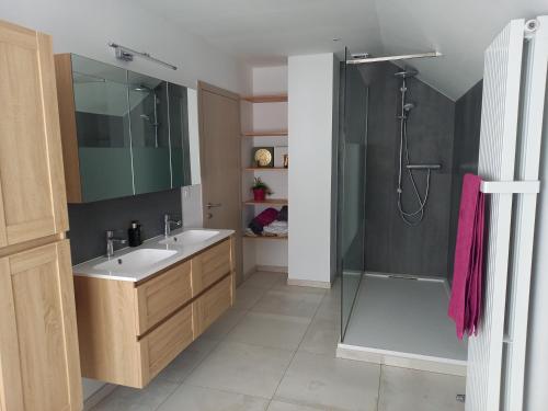 W łazience znajduje się umywalka i prysznic. w obiekcie Chambre 2 lits simples - Spa w mieście Spa