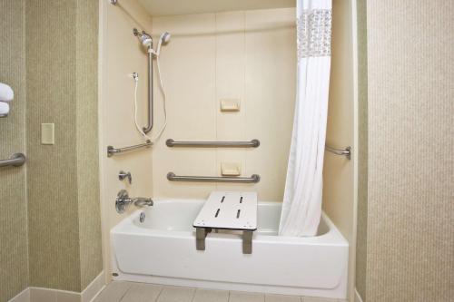 a bathroom with a bath tub with a shower and a sink at Hampton Inn Clifton Park in Clifton Park
