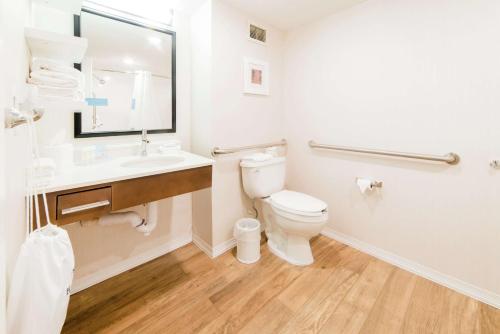 a bathroom with a toilet and a sink and a mirror at Hampton Inn Caryville-I-75/Cove Lake-State Park in Caryville