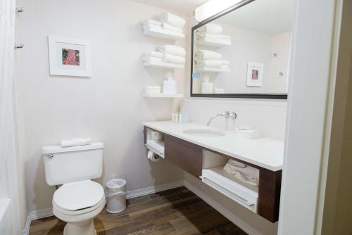 a bathroom with a toilet and a sink and a mirror at Hampton Inn Caryville-I-75/Cove Lake-State Park in Caryville