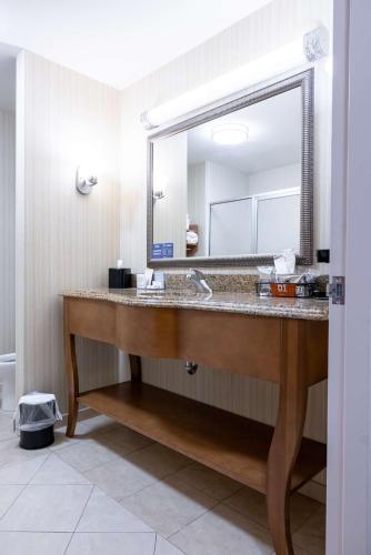 Koupelna v ubytování Hampton Inn Alice