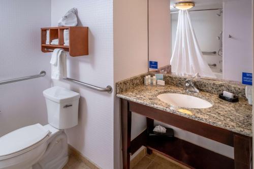 a bathroom with a toilet and a sink at Hampton Inn Charleston Downtown in Charleston