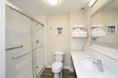 ein Bad mit einer Dusche, einem WC und einem Waschbecken in der Unterkunft Hampton Inn Cincinnati Eastgate in Eastgate