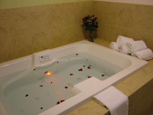 a bathroom with a bath tub filled with blood at Hampton Inn Cincinnati Northwest Fairfield in Fairfield