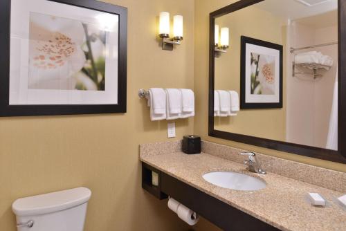 a bathroom with a sink and a mirror and a toilet at Hilton Garden Inn West Chester in West Chester