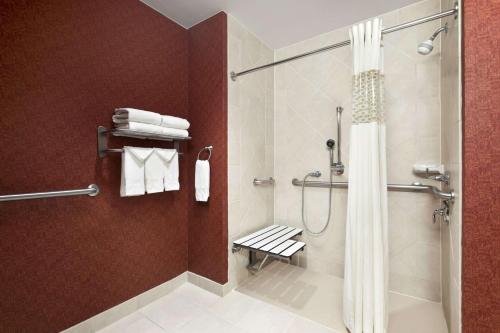 y baño con ducha y cortina de ducha. en Hampton Inn & Suites Conroe I 45 North, en Conroe