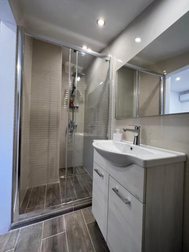 a bathroom with a shower and a sink and a mirror at Bucharest Center Villa in Bucharest
