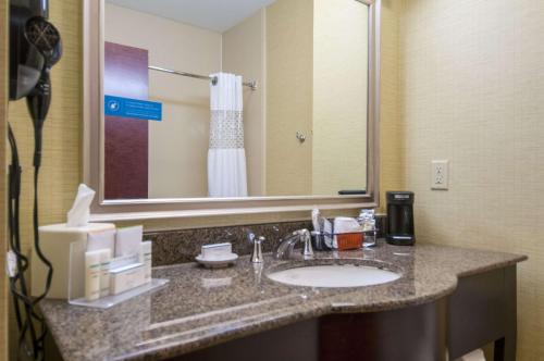 a bathroom with a sink and a large mirror at Hampton Inn and Suites Waxahachie in Waxahachie