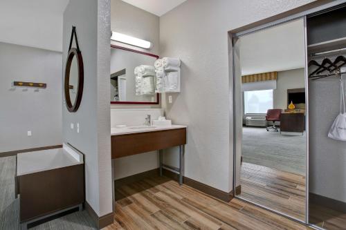 a bathroom with a sink and a mirror at Hampton Inn & Suites Dallas-DeSoto in DeSoto